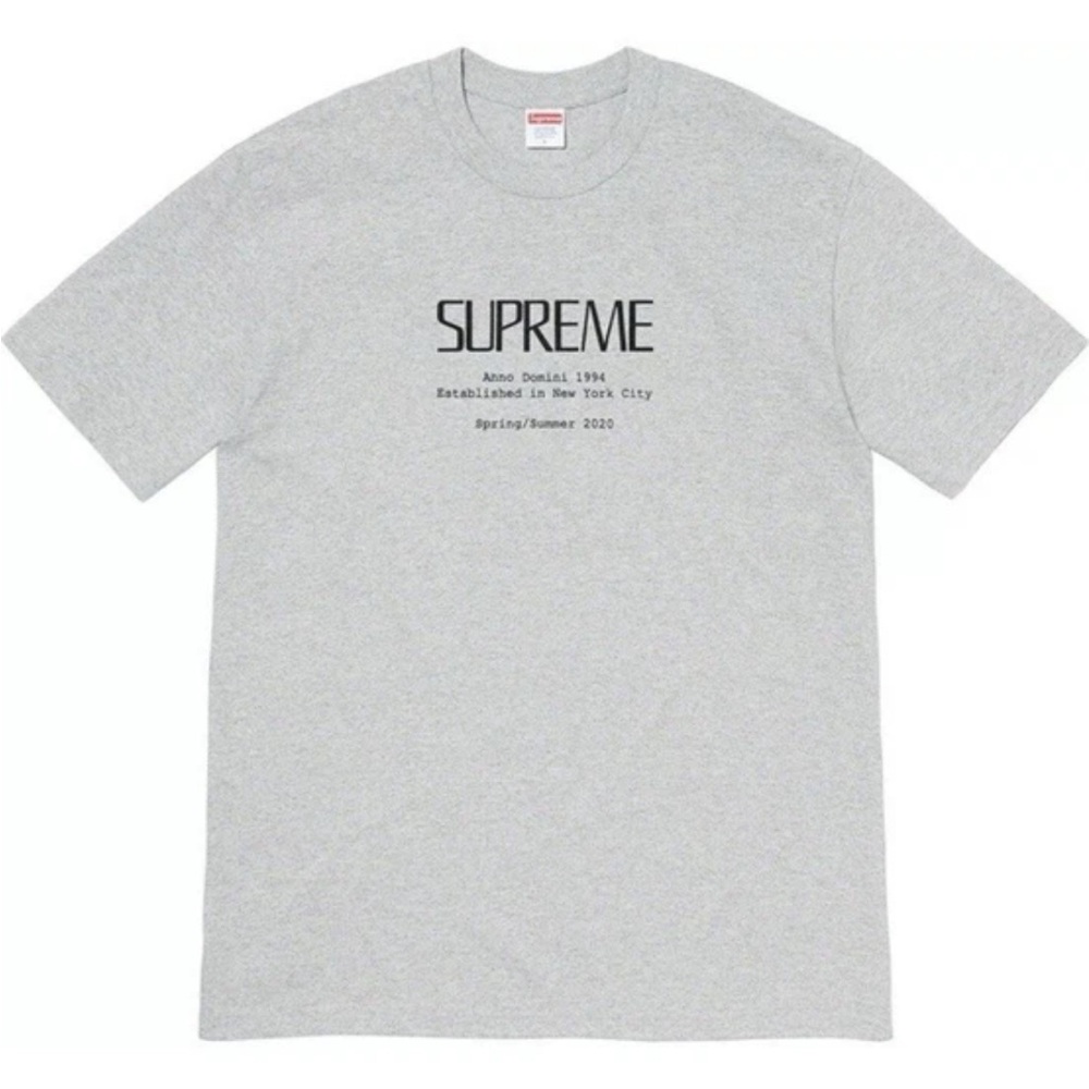Supreme Anno Domini Gray Short Sleeve Tee Size Small w/ authentic bag and gloves